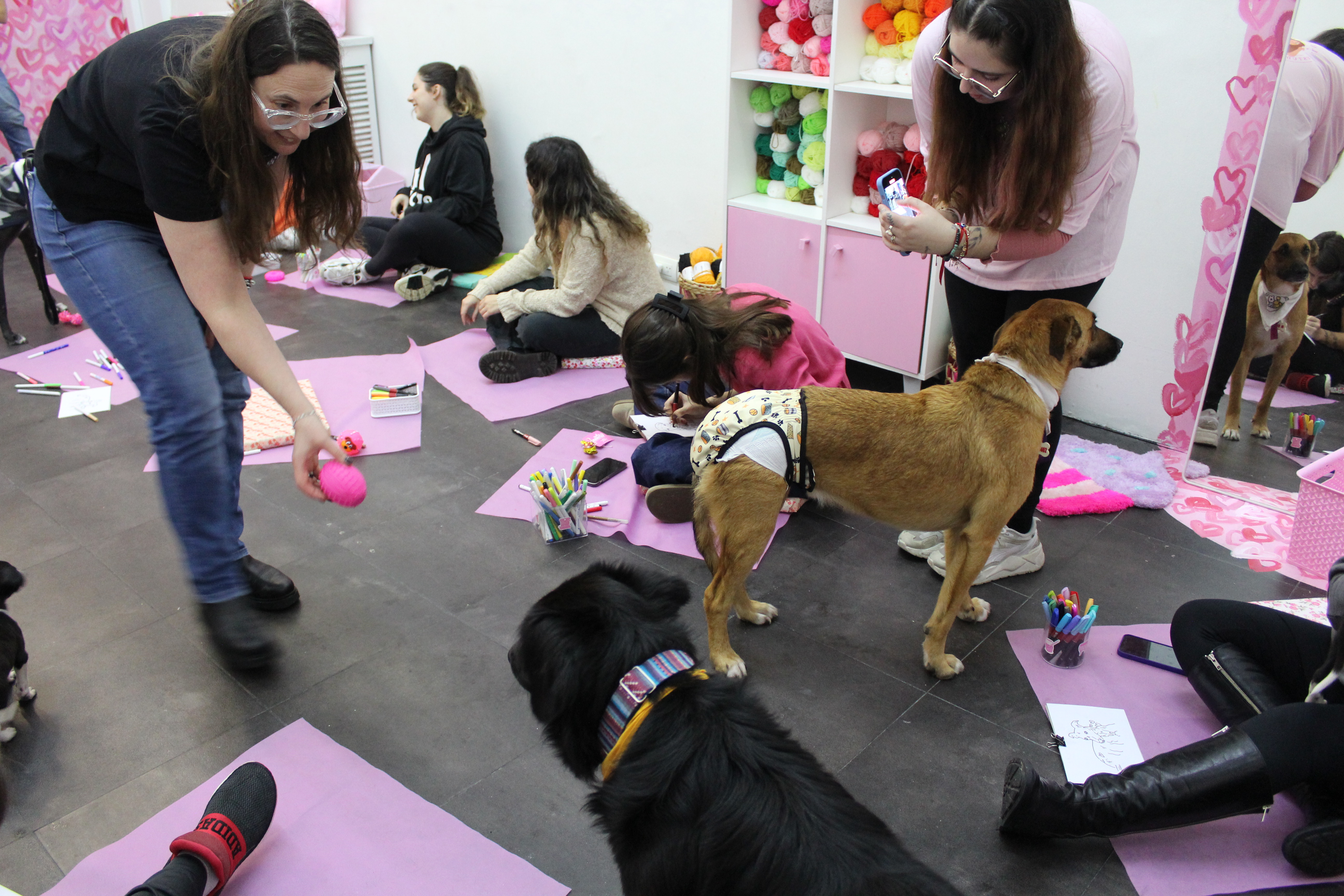 ARTE CON PERRITOS — foto 2
