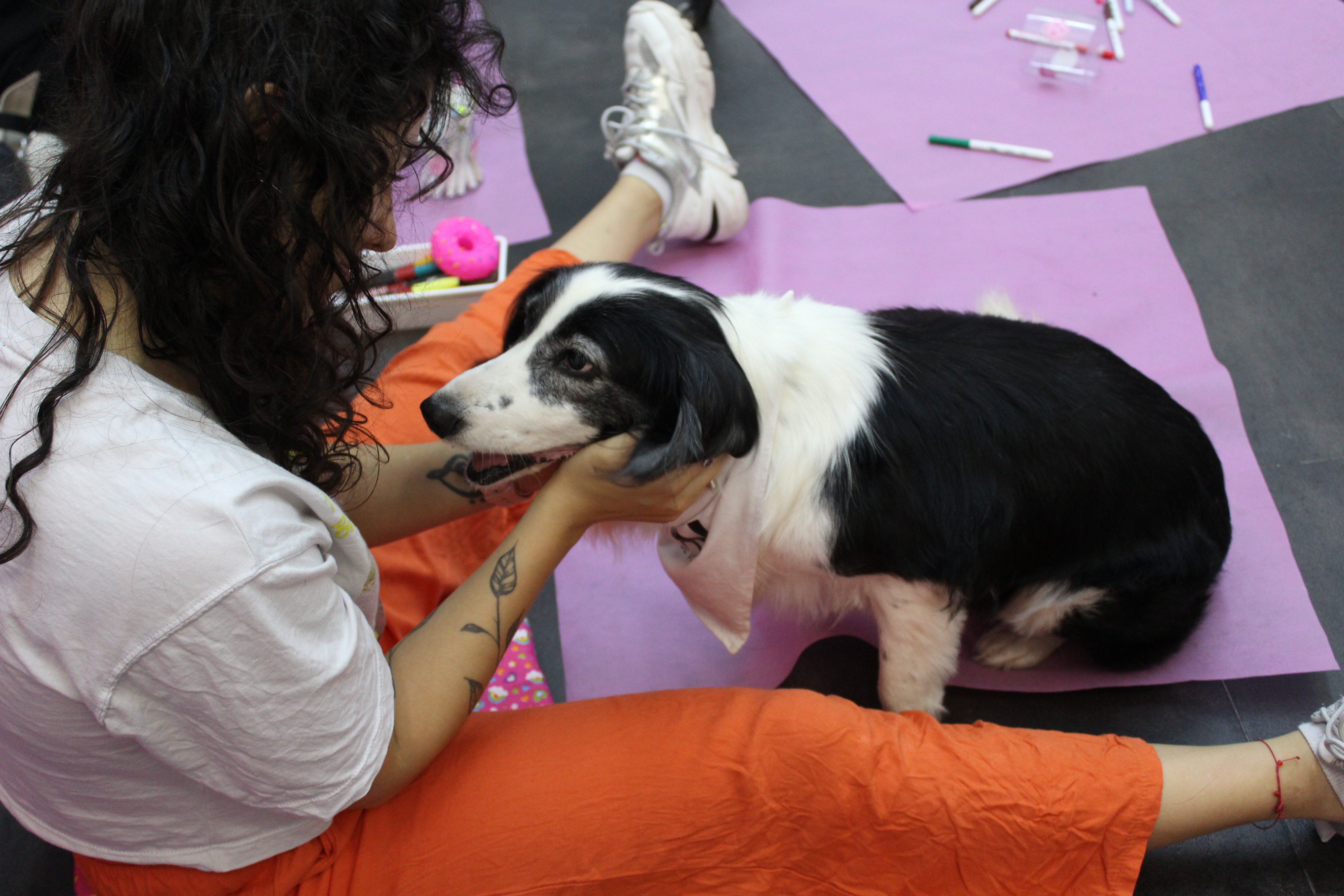 ARTE CON PERRITOS — foto 3