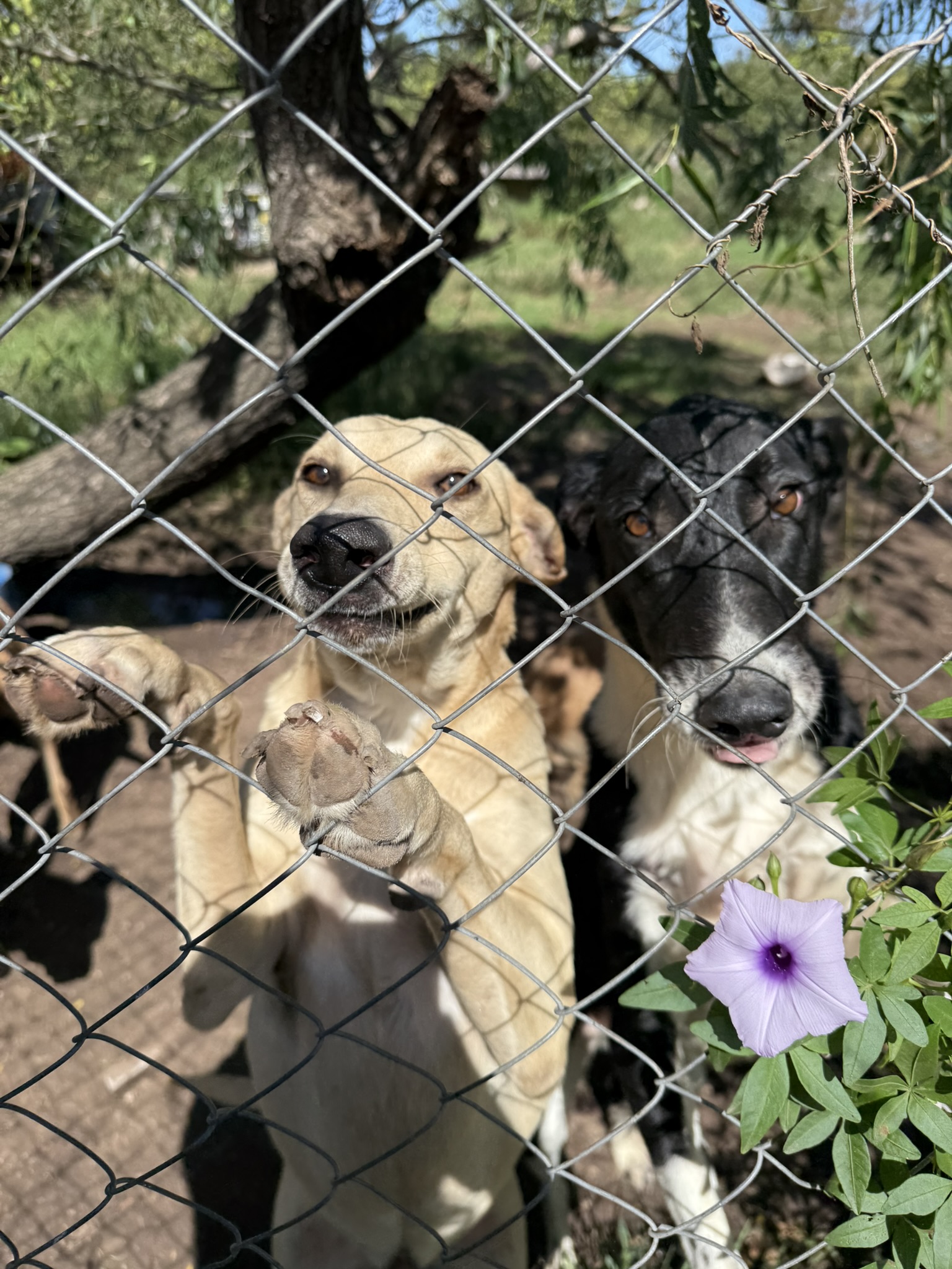 Una imagen es su única oportunidad
